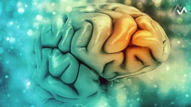 Understanding Episodic Memory Formation: New Insights