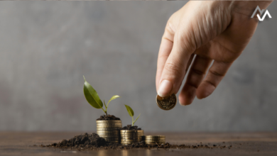 Building a Robust Financial Foundation for Your Business