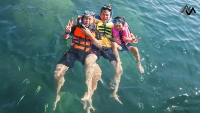 Exploring Kid-Friendly Scuba Diving Spots in India