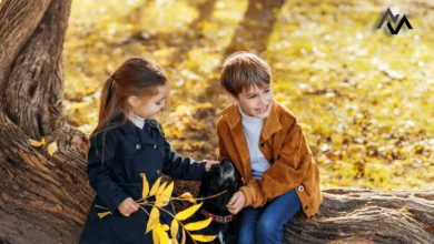 7 Unforgettable Childhood Moments Every Kid Cherishes