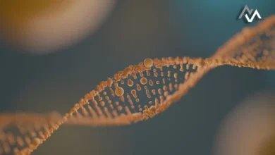 Building a Genetic Algorithm in Python: A Beginner's Guide