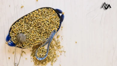 The Risks of Overconsumption: Sabja Seeds in Excess