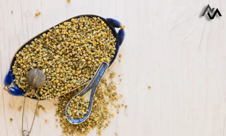 The Risks of Overconsumption: Sabja Seeds in Excess