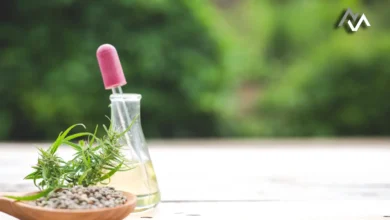 Nature as Medicine: Why Prescribing Nature Can Be More Effective Than Medications