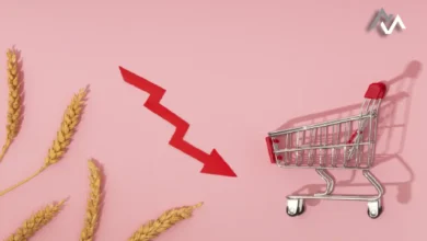 The Looming Market Bubble: A Warning by Mark Spitznagel