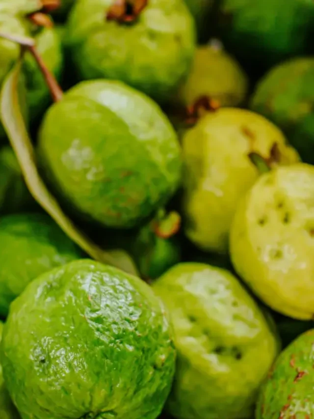 5 Remarkable Benefits of Guava Leaves: A Daily Boost to Your Health