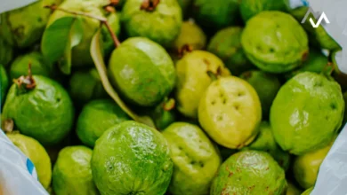 5 Remarkable Benefits of Guava Leaves: A Daily Boost to Your Health