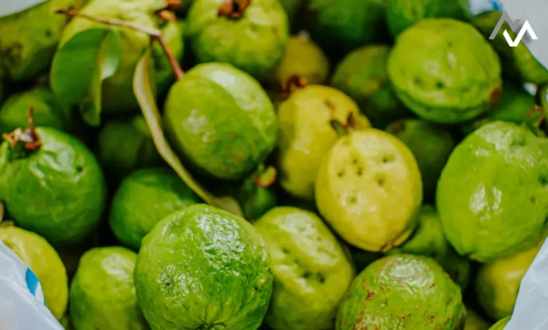 5 Remarkable Benefits of Guava Leaves: A Daily Boost to Your Health