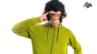 6 Signs of a Monkey Mind and Practical Tips to Calm It Down