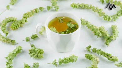 Brahmi Tea for Kids: Enhancing Memory and Cognitive Growth