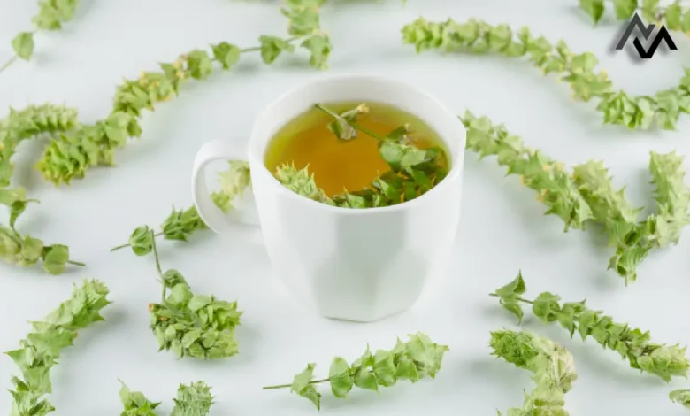 Brahmi Tea for Kids: Enhancing Memory and Cognitive Growth