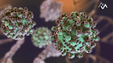 Unlocking the Role of Ketone Bodies in Cellular Health and Autophagy