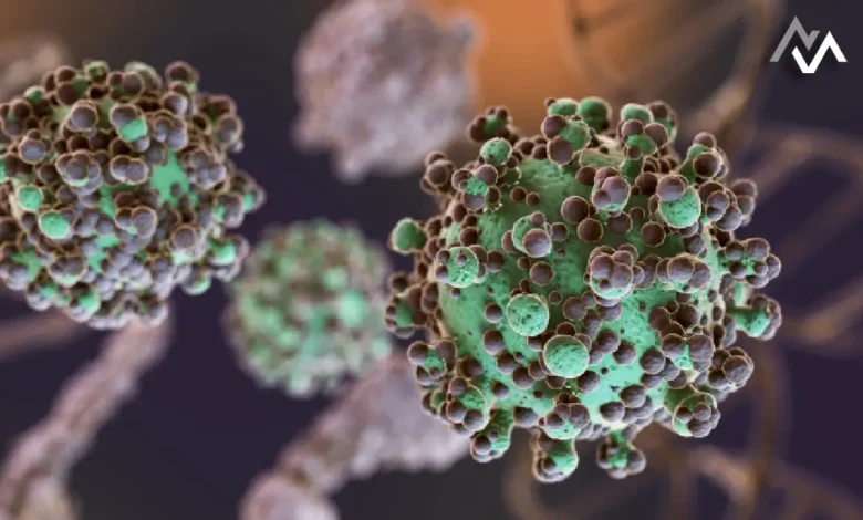 Unlocking the Role of Ketone Bodies in Cellular Health and Autophagy