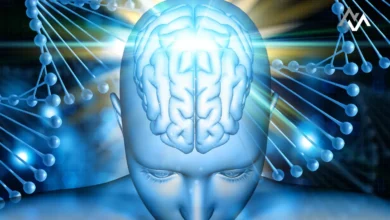 Gut Microbiome and Brain Evolution: Unlocking the Connection