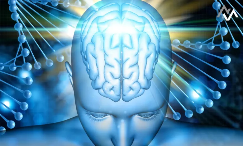 Gut Microbiome and Brain Evolution: Unlocking the Connection