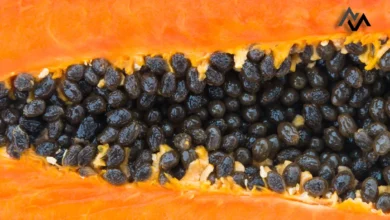 Unlocking the Hidden Benefits: Why Eating Papaya Seeds Daily Can Boost Your Health