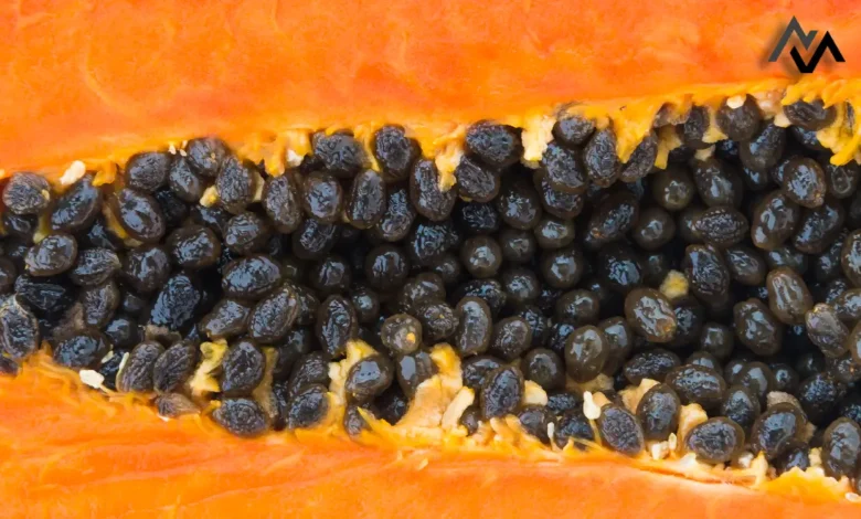 Unlocking the Hidden Benefits: Why Eating Papaya Seeds Daily Can Boost Your Health